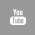 Seguici su Youtube