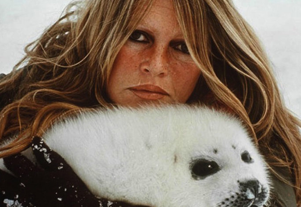 Insulti ai cacciatori: condannata Brigitte Bardot